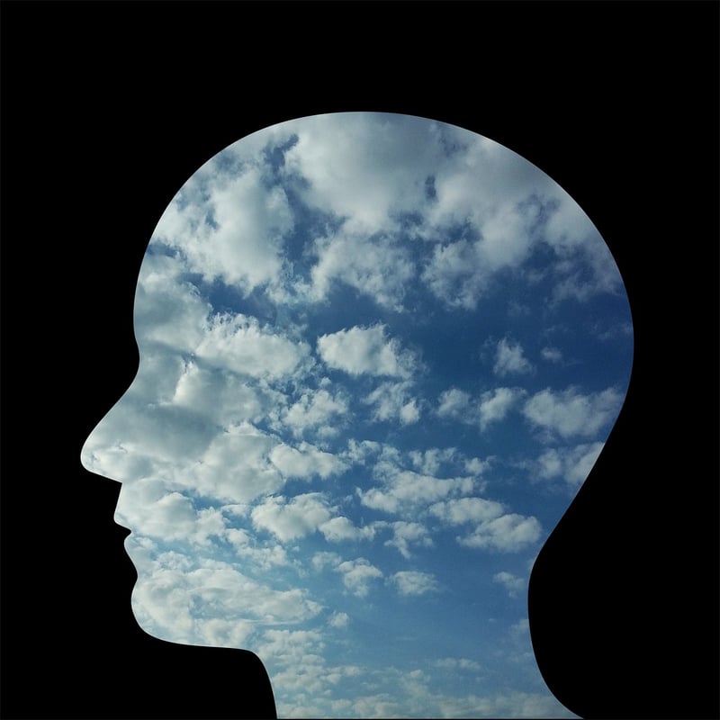 Dimensional Shifts